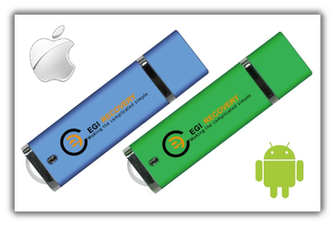 EGI Recovery